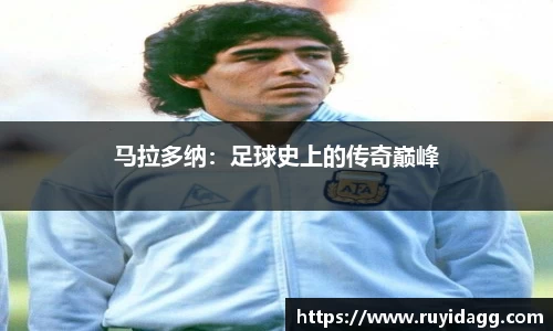 乐球体育直播在线观看