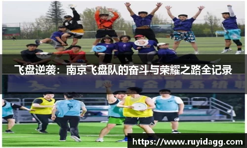 乐球体育直播在线观看