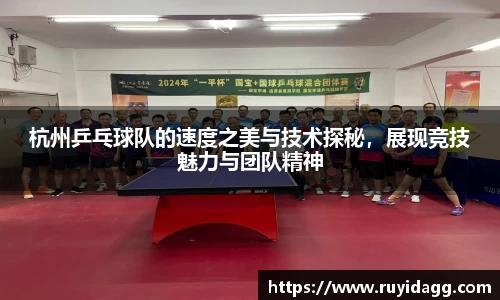 乐球体育直播
