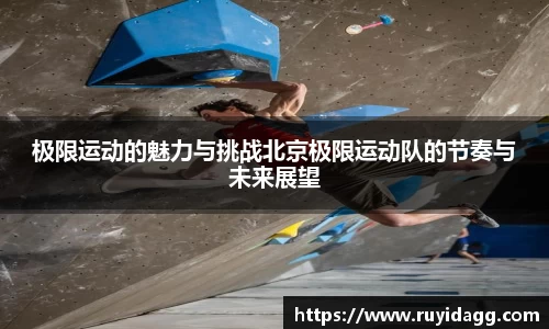 乐球体育直播在线观看