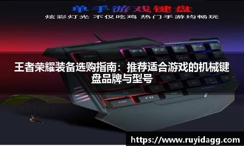 乐球体育直播在线观看