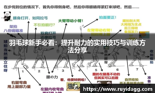 乐球体育直播在线观看