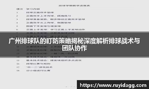 乐球体育直播