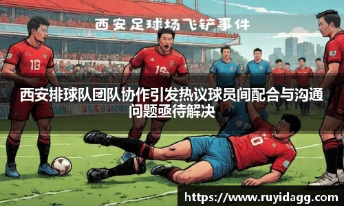 乐球体育直播