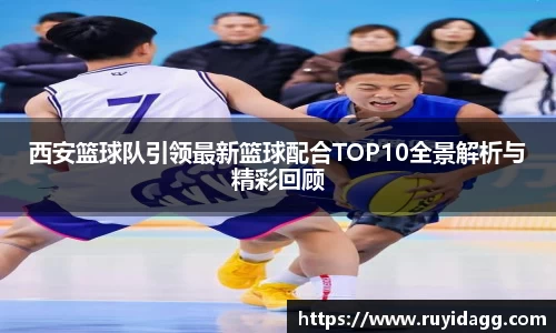 乐球体育直播在线观看