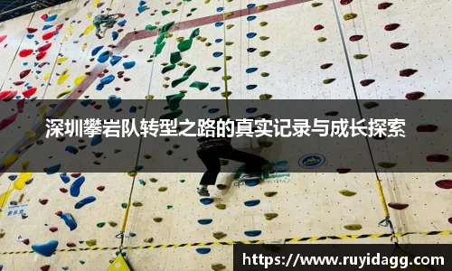 乐球体育直播在线观看