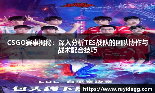 乐球体育直播