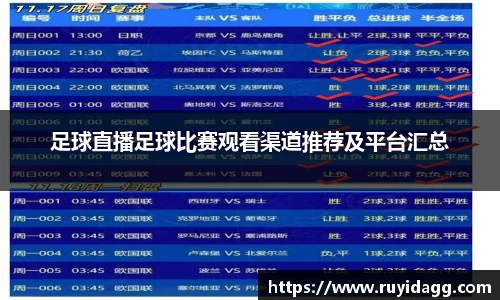乐球直播体育