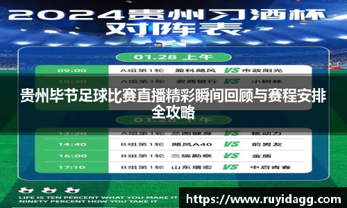 乐球体育直播在线观看