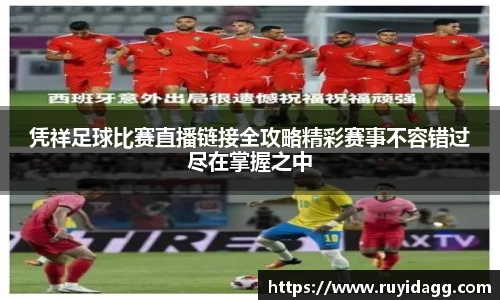 乐球体育直播