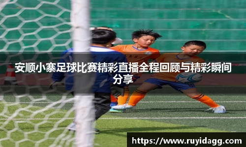 乐球体育直播在线观看