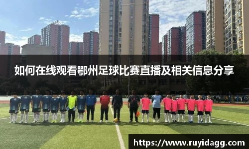 乐球体育直播在线观看