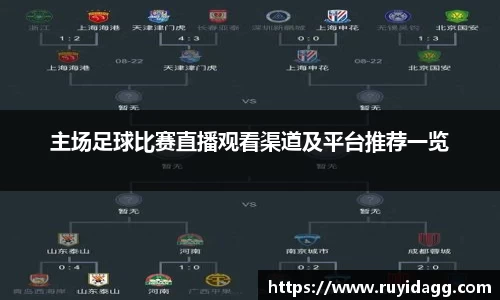 乐球体育直播