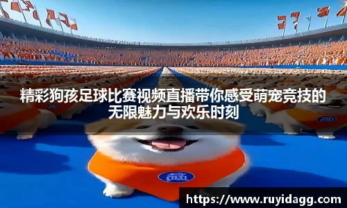 乐球体育直播