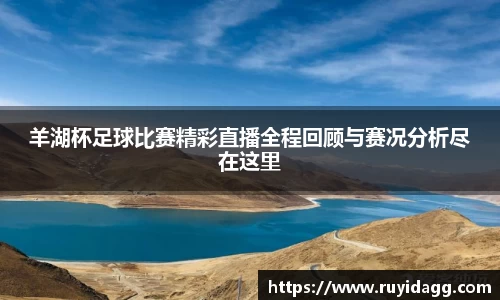 乐球体育直播