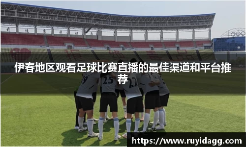 乐球体育直播