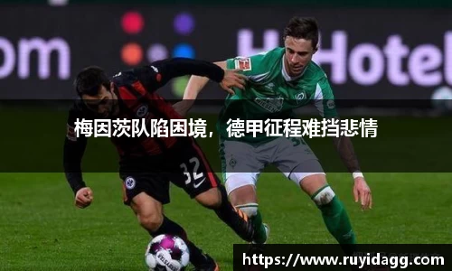 乐球直播体育