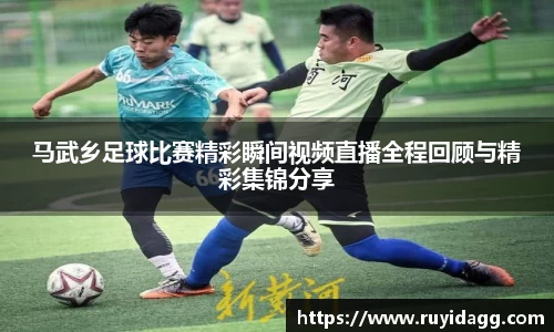 乐球体育直播