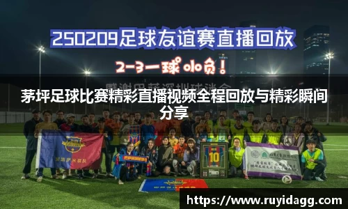 乐球体育直播