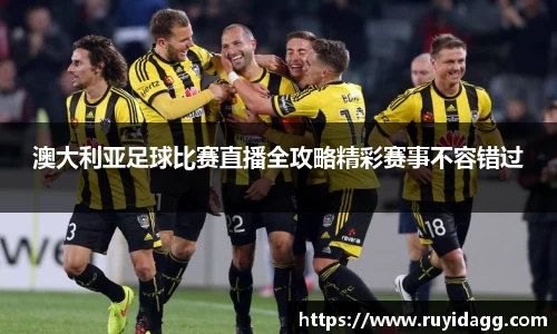 乐球体育直播