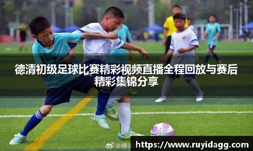 乐球体育直播在线观看