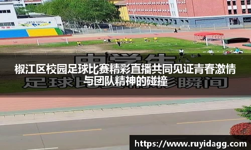乐球直播体育