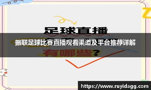 乐球体育直播