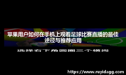乐球体育直播