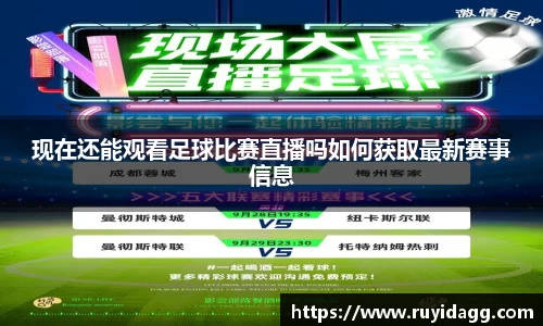 乐球直播体育