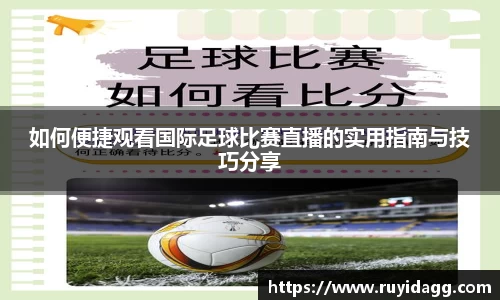 乐球体育直播在线观看